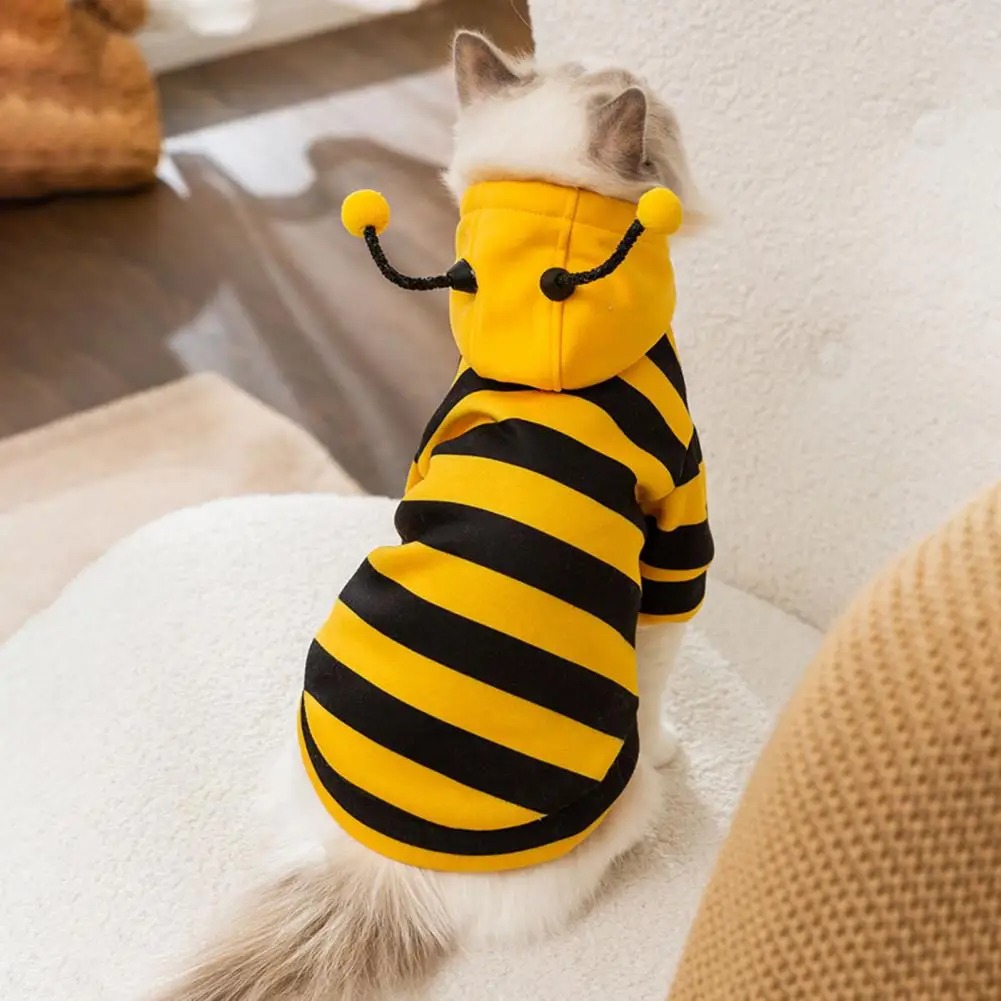 Winter Clothing For Dogs - 애완 동물 고양이 옷 새끼 고양이