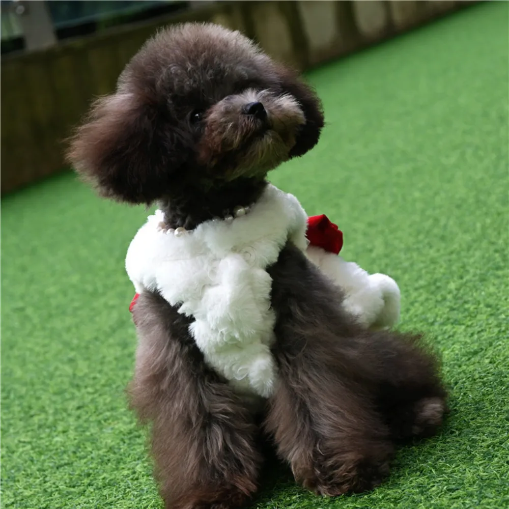 Winter Clothing For Dogs - 애완 토끼 모피 드레스 귀여운 리본