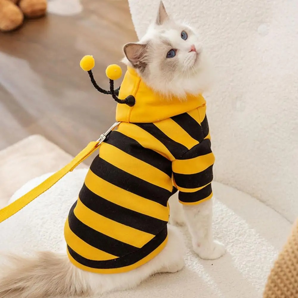 애완 동물 고양이 옷 새끼 고양이 용품 개 액세서리 애 - Winter Clothing For Dogs 리뷰 및 가격