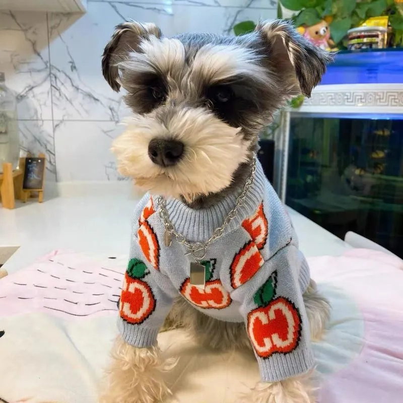 레터 스웨터 애완견 옷 면 스웨트셔츠 의류 강아지 따뜻 - Winter Clothing For Dogs 리뷰 및 가격