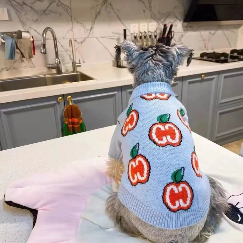 레터 스웨터 애완견 옷 면 스웨트셔츠 의류 강아지 따뜻 - Winter Clothing For Dogs 리뷰 및 가격