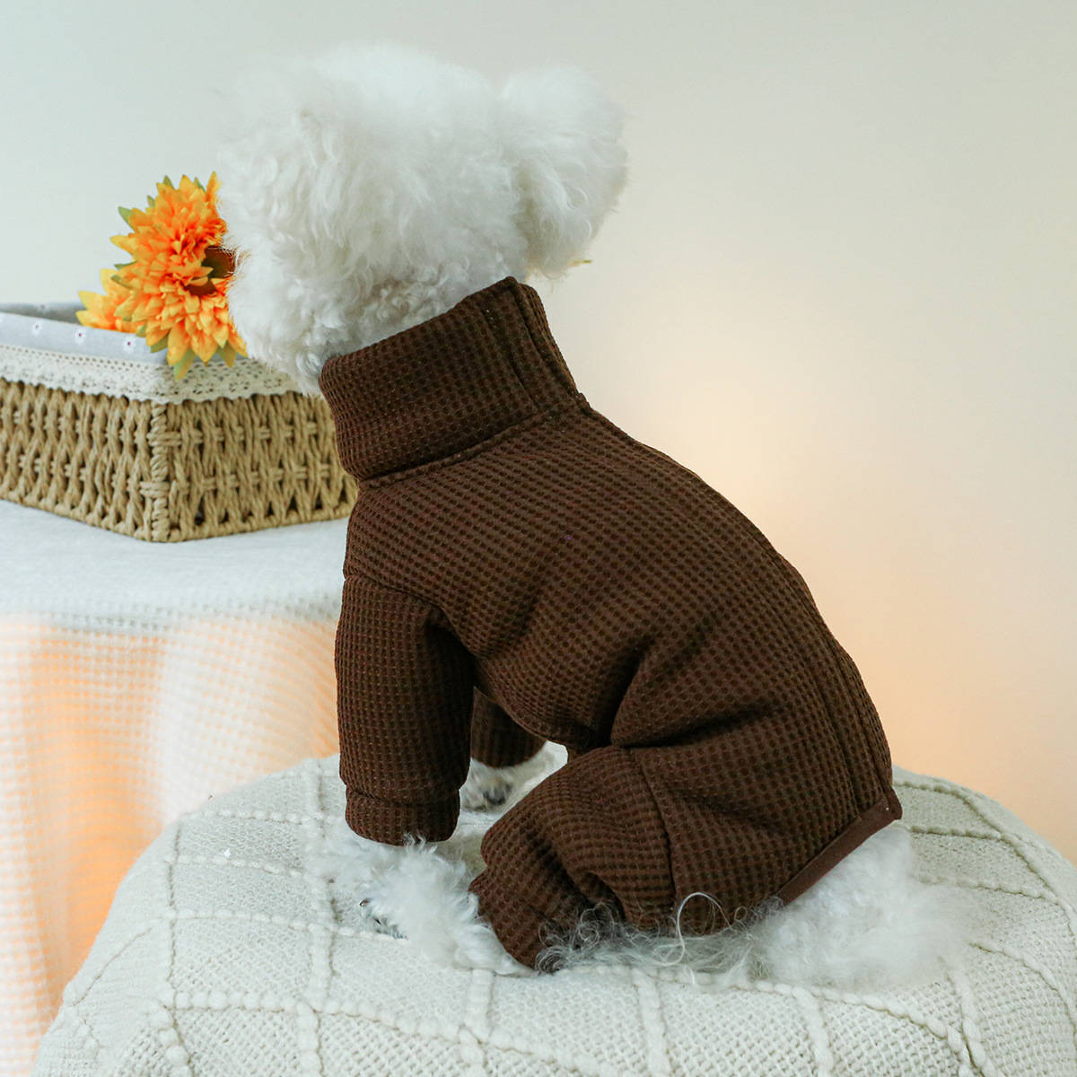 강아지용 겨울 의상, 가을 따뜻한 편안함, 부드러운 빨 - Winter Clothing For Dogs 리뷰 및 가격