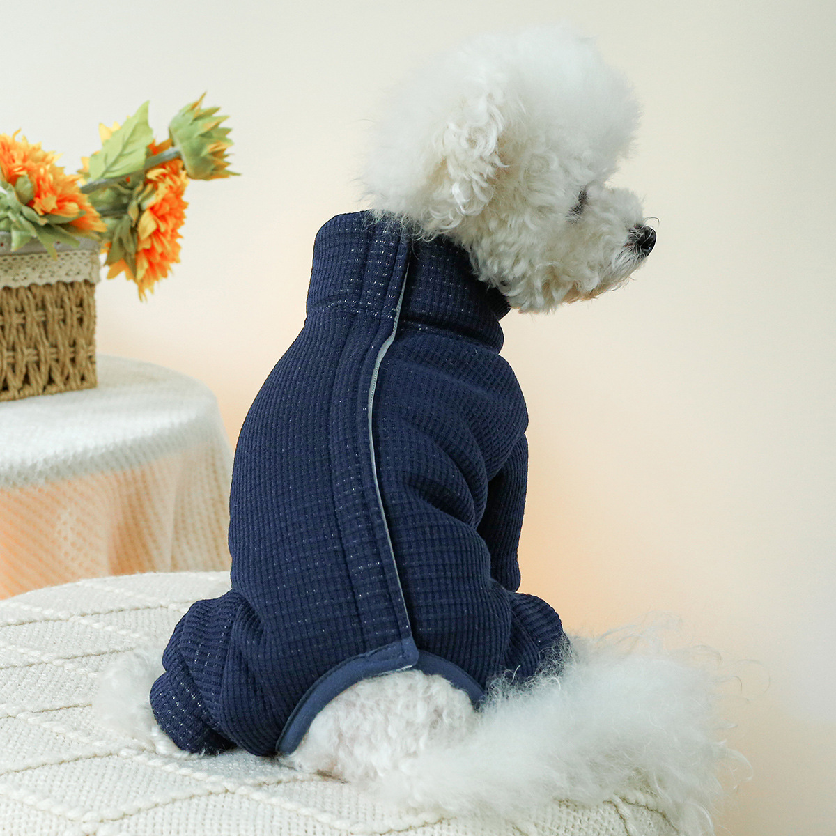 강아지용 겨울 의상, 가을 따뜻한 편안함, 부드러운 빨 - Winter Clothing For Dogs 리뷰 및 가격