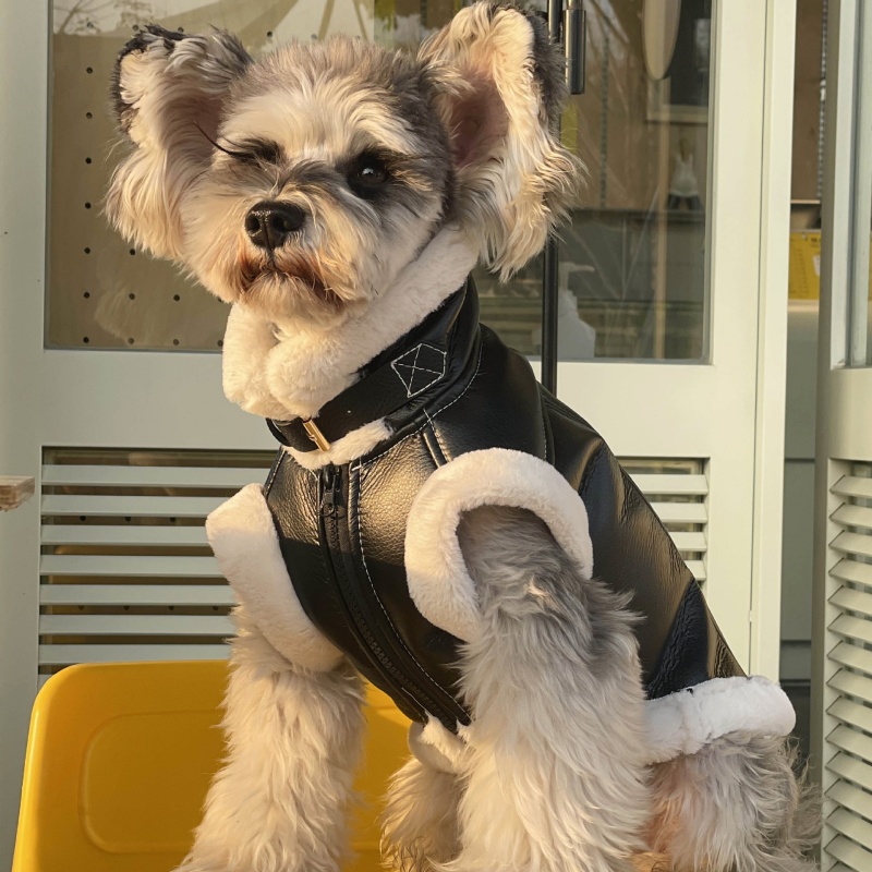 애완 동물 가을 겨울 벨벳 민소매 조끼 모피 원피스 코 - Winter Clothing For Dogs 리뷰 및 가격