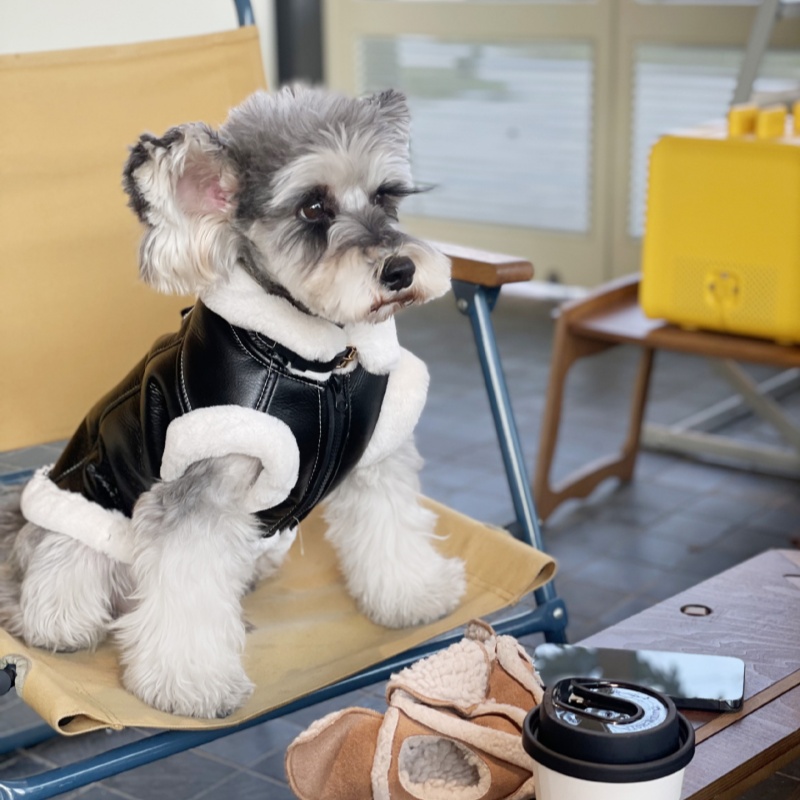 애완 동물 가을 겨울 벨벳 민소매 조끼 모피 원피스 코 - Winter Clothing For Dogs 리뷰 및 가격