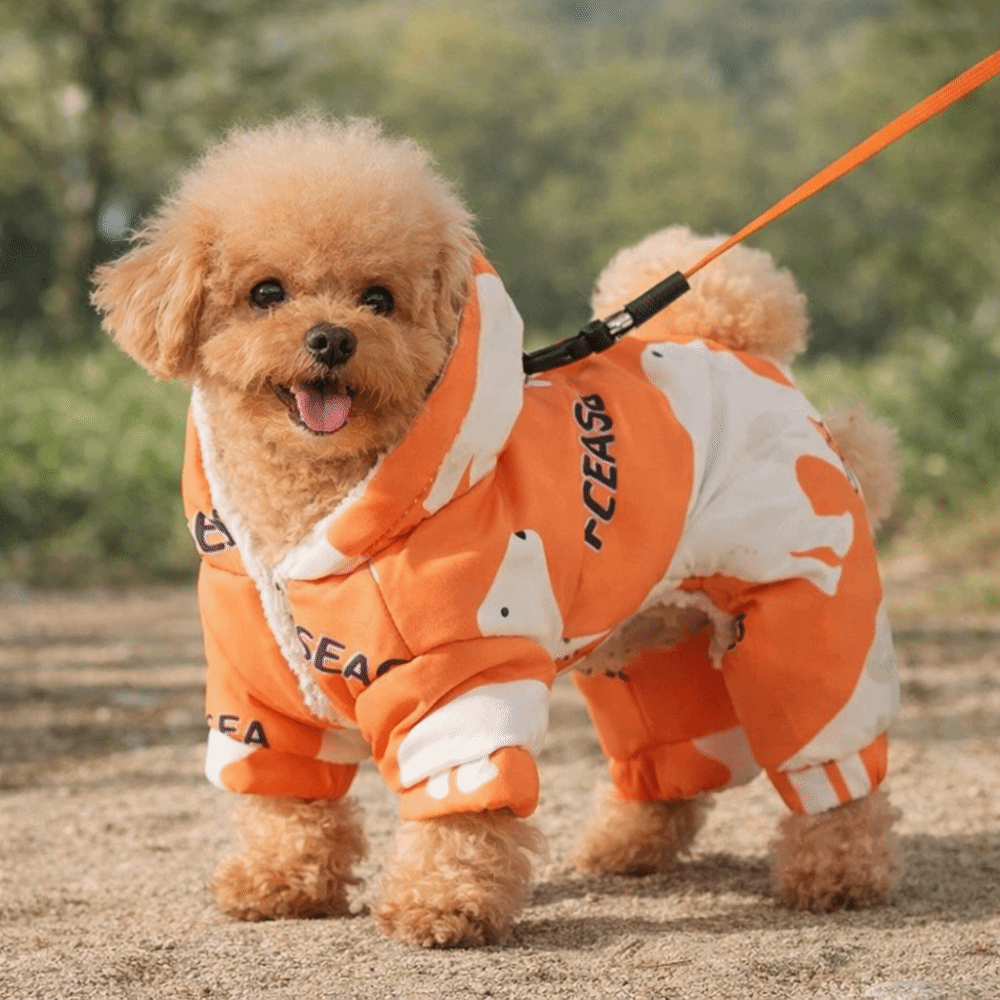 귀여운 따뜻한 강아지 겨울옷 털빠짐 방지 두꺼운 애완동 - Winter Clothing For Dogs 리뷰 및 가격
